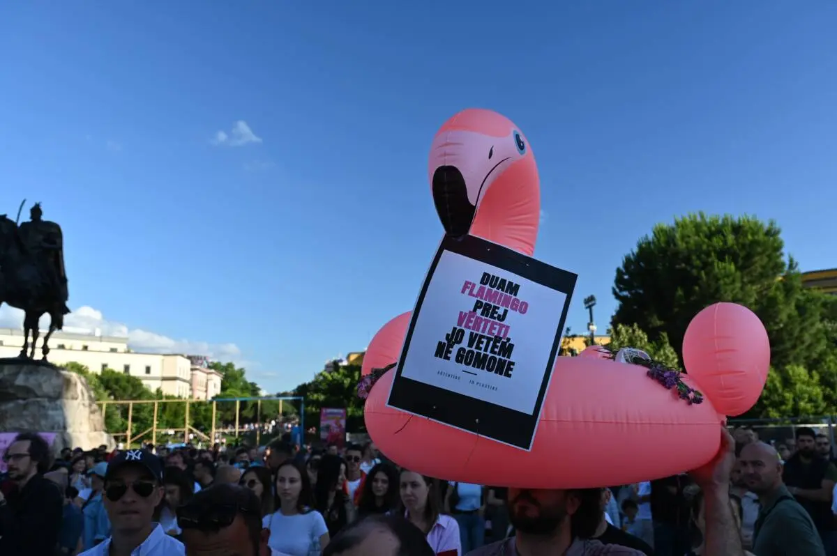 La rivoluzione dei fenicotteri in Albania -foto di Erisa Kryeziu