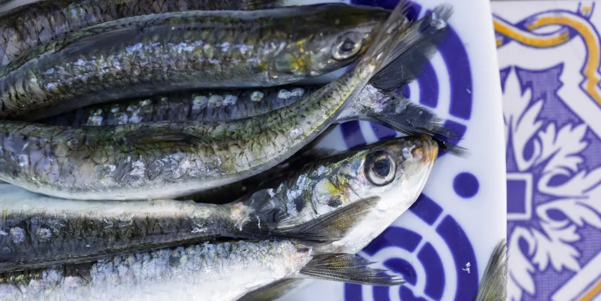 Sarde © Shutterstock