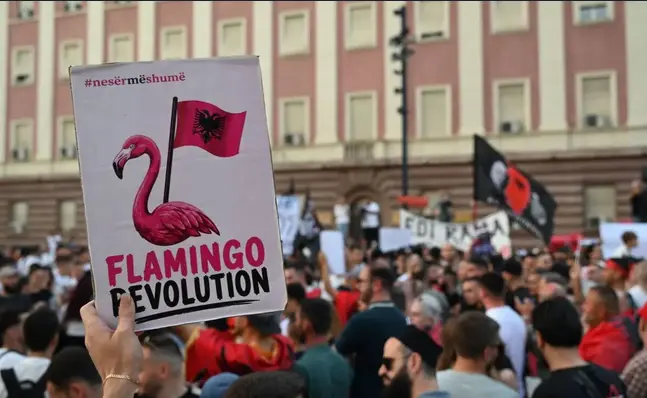 Rivoluzione dei Fenicotteri, foto di Erisa Kryeziu