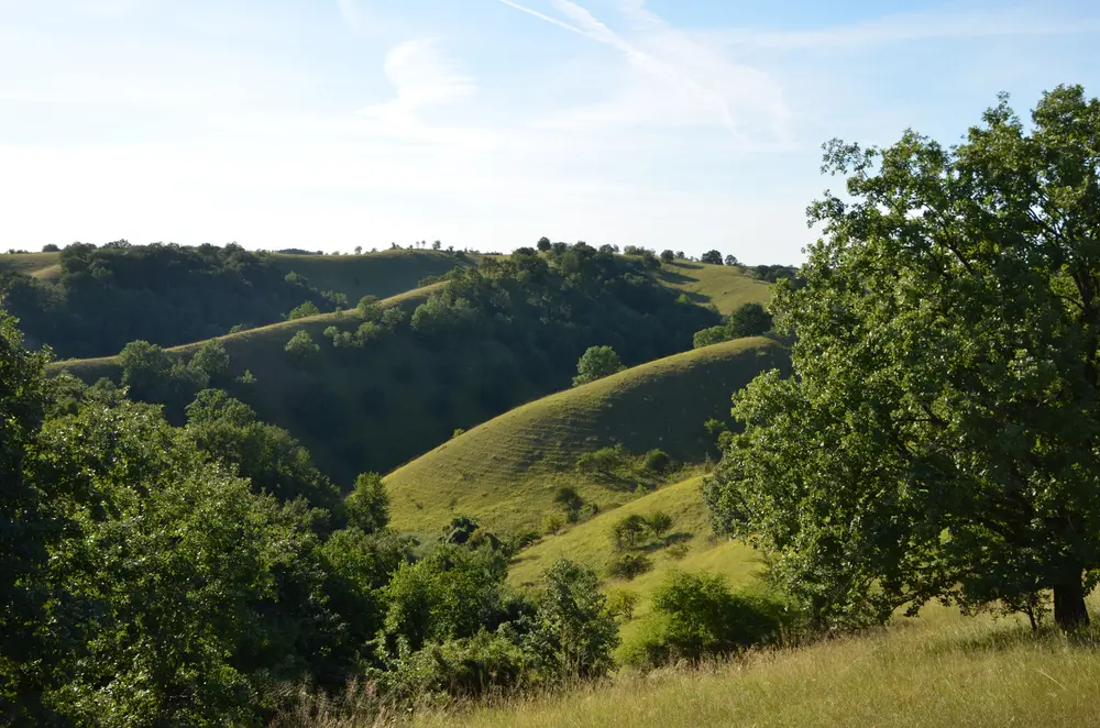 Deliblatska Peščara © Jela2323/shuttertsock
